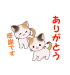 三毛猫ツインズ 毎日優しいスタンプ（個別スタンプ：15）