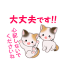 三毛猫ツインズ 毎日優しいスタンプ（個別スタンプ：25）