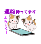 三毛猫ツインズ 毎日優しいスタンプ（個別スタンプ：34）