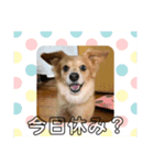 kuuchaaan（個別スタンプ：2）