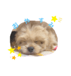 くるちゃんすたんぷ。（個別スタンプ：2）