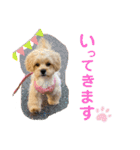 くるちゃんすたんぷ。（個別スタンプ：3）