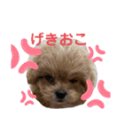 くるちゃんすたんぷ。（個別スタンプ：14）