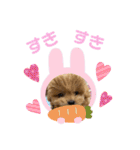 くるちゃんすたんぷ。（個別スタンプ：21）