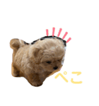 くるちゃんすたんぷ。（個別スタンプ：27）