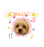くるちゃんすたんぷ。（個別スタンプ：32）