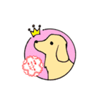 阿南さん家のお犬さん（個別スタンプ：16）