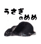 あやかだ！（個別スタンプ：10）