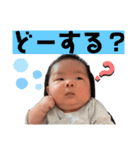 航ちゃんスタンプ 基本版（個別スタンプ：5）