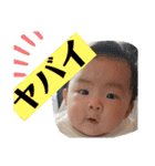 航ちゃんスタンプ 基本版（個別スタンプ：31）