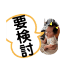 航ちゃんスタンプ 基本版（個別スタンプ：38）