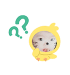 ゆっちゃん❤りっくん（個別スタンプ：13）