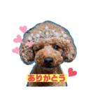モフモフももちゃん（個別スタンプ：1）