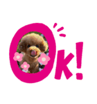 モフモフももちゃん（個別スタンプ：6）
