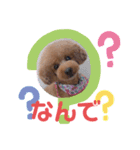 モフモフももちゃん（個別スタンプ：8）