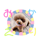 モフモフももちゃん（個別スタンプ：13）