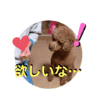 モフモフももちゃん（個別スタンプ：15）
