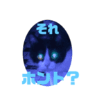 ハロ猫＋もんにゃん（個別スタンプ：1）