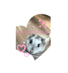 ねずこの日常。（個別スタンプ：3）