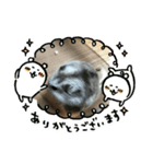ねずこの日常。（個別スタンプ：8）