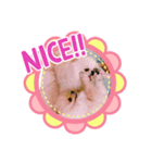 レンここち（個別スタンプ：1）