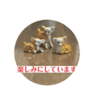昭和レトロ ゆるかわ ほのぼのスタンプ（個別スタンプ：16）