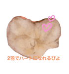 ニートのぴよたん（個別スタンプ：3）