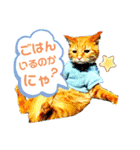 わが家のイヌネコ（個別スタンプ：7）