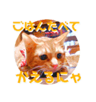 わが家のイヌネコ（個別スタンプ：8）