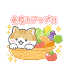 【公式】ねこたつ♡みんなでがんばろう編（個別スタンプ：15）