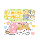 【公式】ねこたつ♡みんなでがんばろう編（個別スタンプ：39）