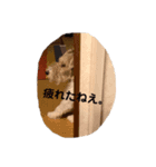 ミライとライアン（個別スタンプ：2）