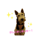ミライとライアン（個別スタンプ：8）