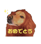 We are 平良家（個別スタンプ：21）