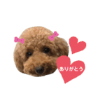 ココアとミルクと時々プッチ（個別スタンプ：2）