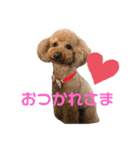 ココアとミルクと時々プッチ（個別スタンプ：5）