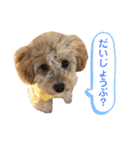 ココアとミルクと時々プッチ（個別スタンプ：9）