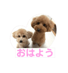 ココアとミルクと時々プッチ（個別スタンプ：12）
