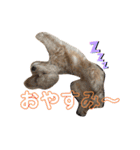 ココアとミルクと時々プッチ（個別スタンプ：13）