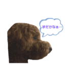 ココアとミルクと時々プッチ（個別スタンプ：20）