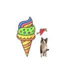 猫実写スタンプ（個別スタンプ：32）
