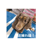 MUGI Style！（個別スタンプ：2）
