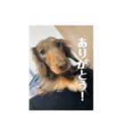 MUGI Style！（個別スタンプ：3）
