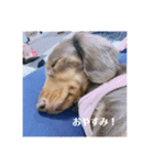 MUGI Style！（個別スタンプ：4）