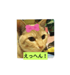 わらびくんスタンプ（個別スタンプ：5）
