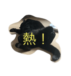 tokikuro（個別スタンプ：3）