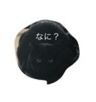 tokikuro（個別スタンプ：5）