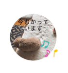 山本ホタルのスタンプ2（個別スタンプ：4）