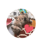 山本ホタルのスタンプ2（個別スタンプ：5）