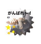山本ホタルのスタンプ2（個別スタンプ：7）